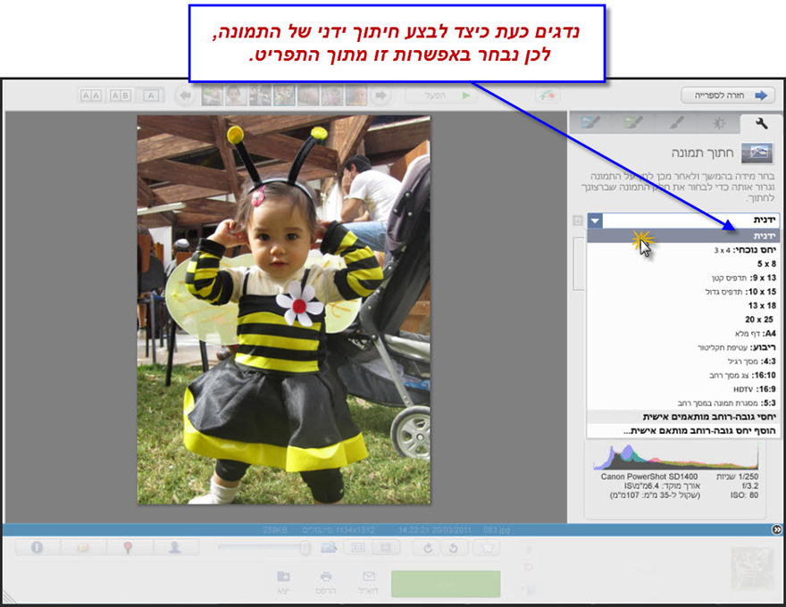 חיתוך חלק מתמונה Picasa Photo Editor 4