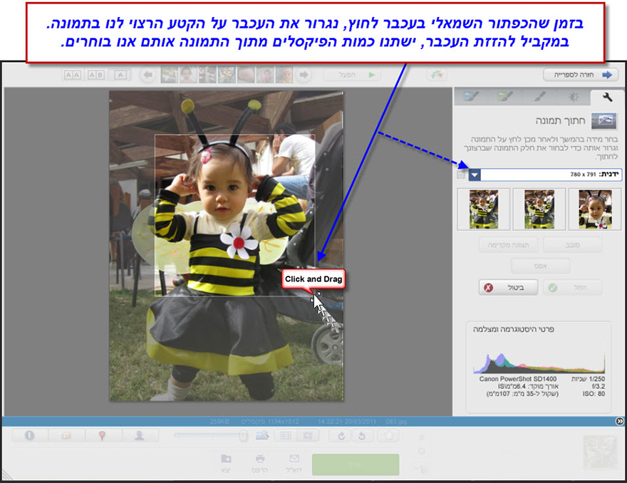 חיתוך חלק מתמונה Picasa Photo Editor 5