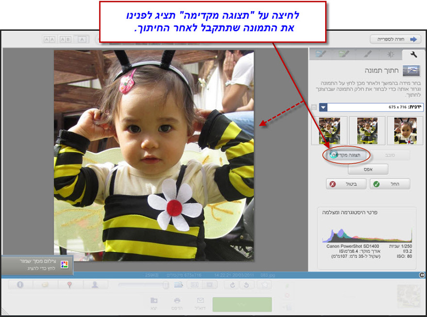 חיתוך חלק מתמונה Picasa Photo Editor 6