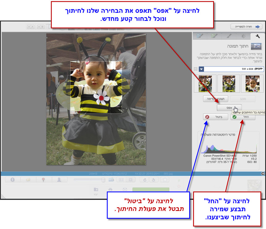 חיתוך חלק מתמונה Picasa Photo Editor 7