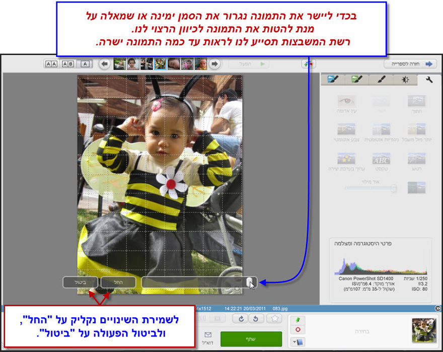 יישור תמונה Picasa Photo Editor 2