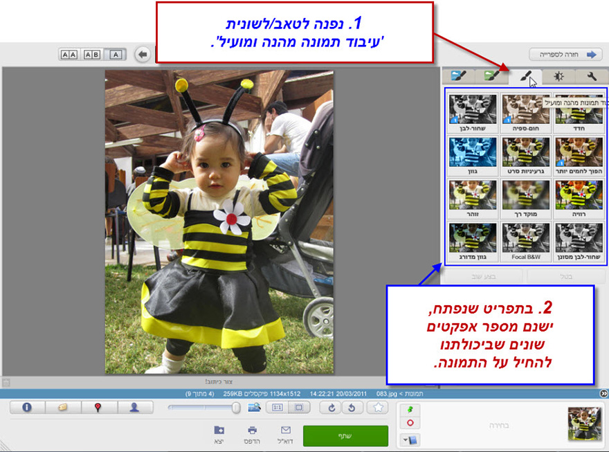 לשונית עיבוד תמונה מהנה ומועיל Picasa Photo Editor 2