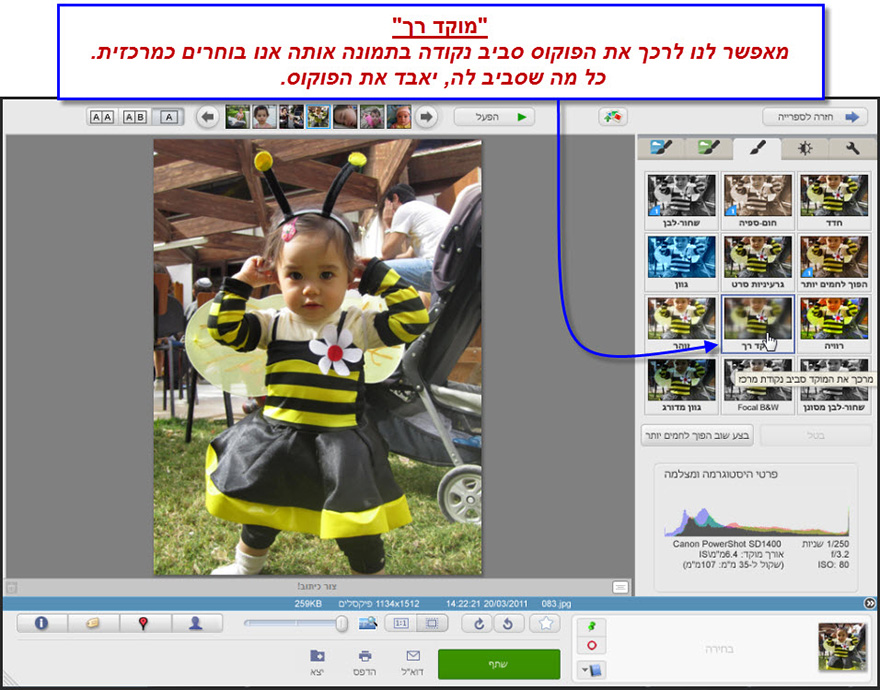 מוקד רך Picasa Photo Editor 1