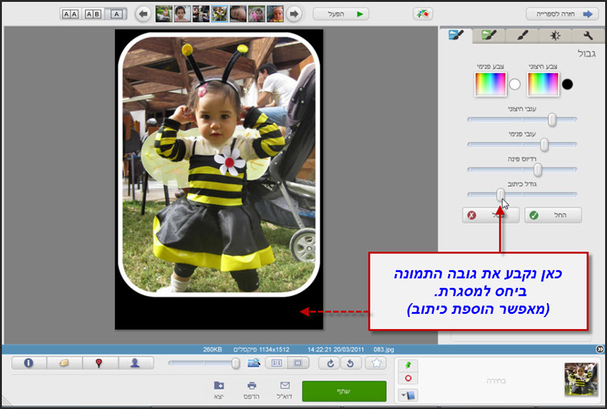 מסגרת לתמונה Picasa Photo Editor 3