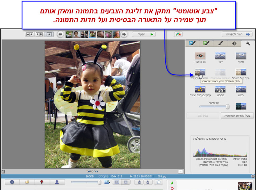 צבע אוטומטי Picasa Photo Editor 1