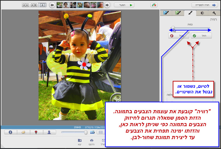 אפקט רוויה Picasa Photo Editor 2