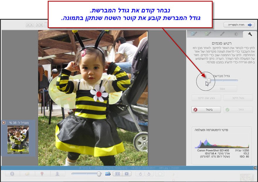 אפקט ריטוש פגמים Picasa Photo Editor 2