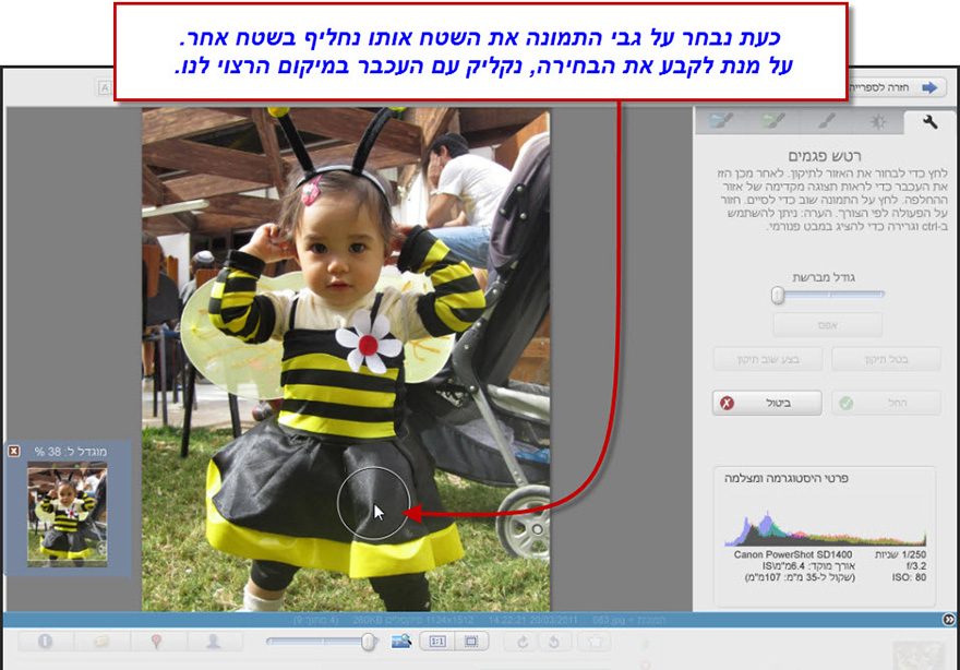 אפקט ריטוש פגמים Picasa Photo Editor 3