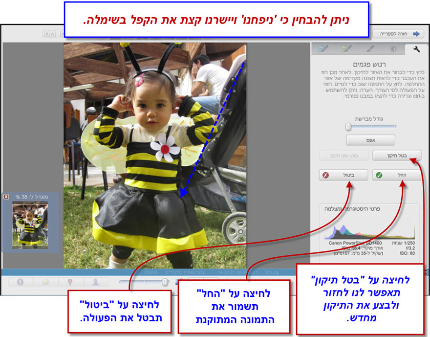 אפקט ריטוש פגמים Picasa Photo Editor 5