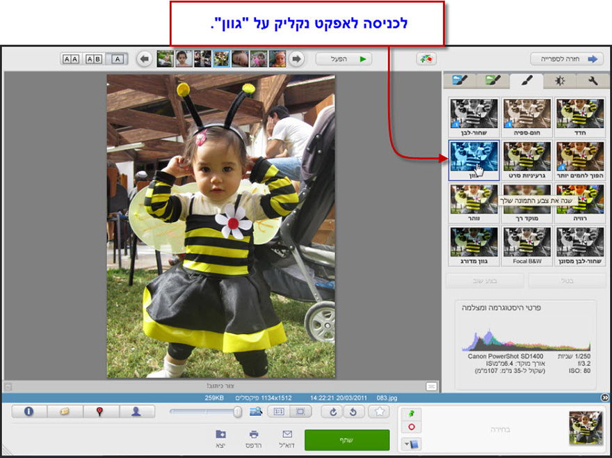 שינוי גוון צבע לתמונה Picasa Photo Editor 1