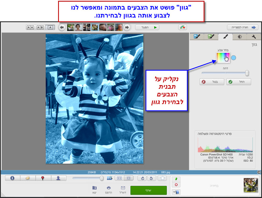 שינוי גוון צבע לתמונה Picasa Photo Editor 2