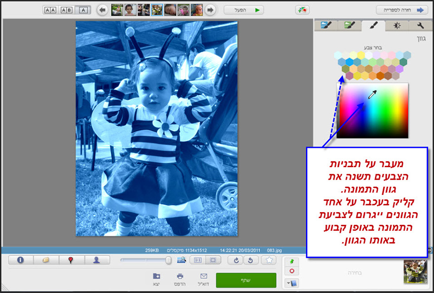 שינוי גוון צבע לתמונה Picasa Photo Editorשינוי גוון צבע לתמונה Picasa Photo Editor 3