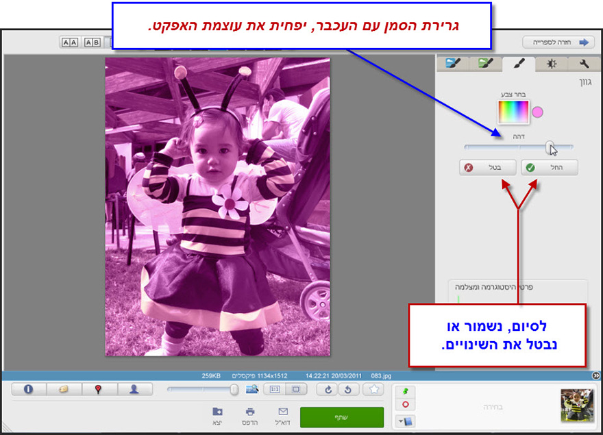 שינוי גוון צבע לתמונה Picasa Photo Editor 4