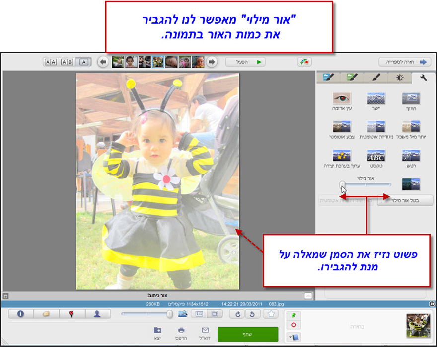 שליטה על האור בתמונה Picasa Photo Editor 1