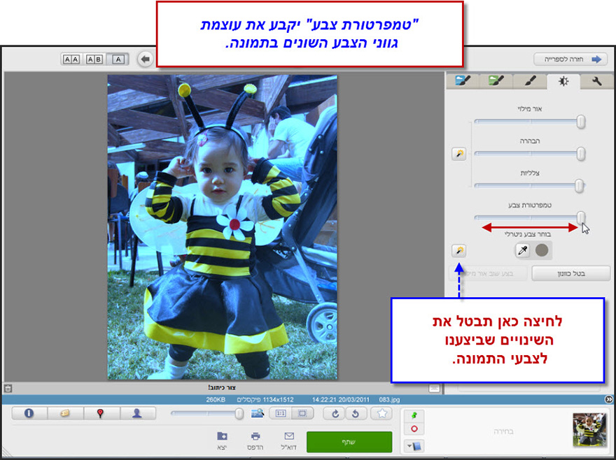 כיוון עדין של תאורה וצבע Picasa Effects 6