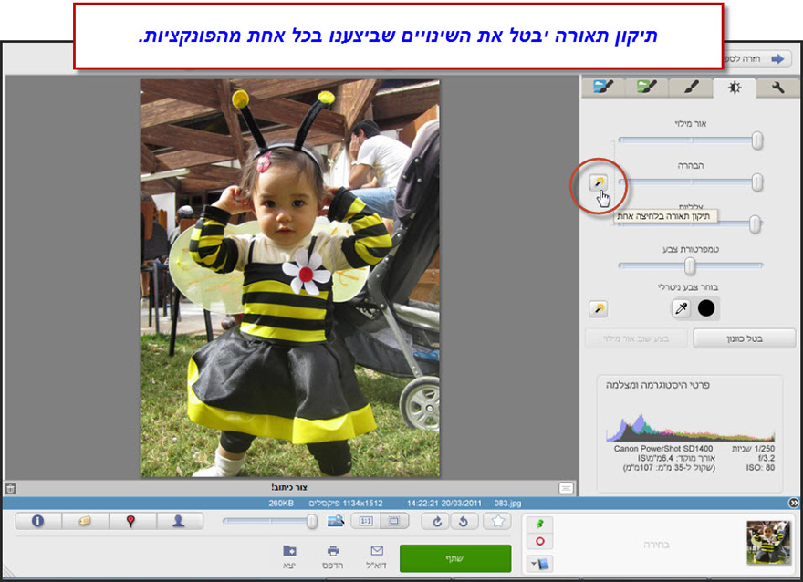 כיוון עדין של תאורה וצבע Picasa Effects 5