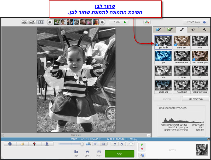 הפיכת תמונה לשחור לבן Picasa Photo Editor 1