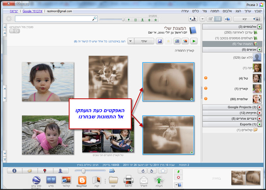 Picasa העתקת אפקטים מתמונה לתמונה