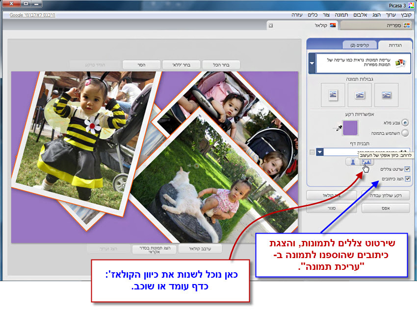 picasa collage יצירת קולאז' תמונות 9