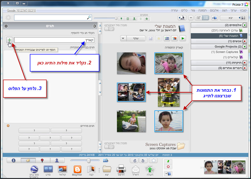 Picasa יצירת לקט תמונות לפי מילת מפתח תיוג תמונות 2